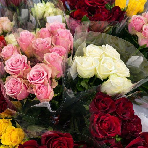 enhance_the_photo_202604151530